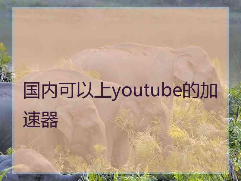 国内可以上youtube的加速器