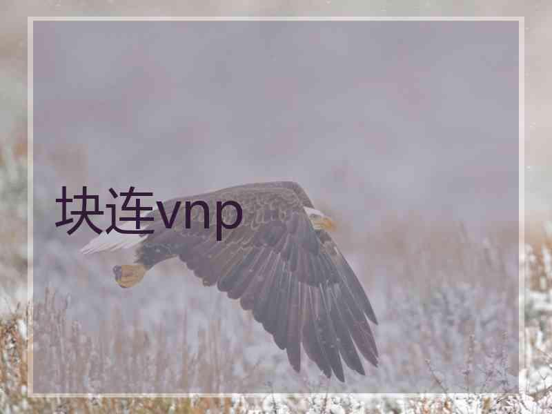 块连vnp