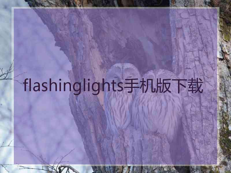 flashinglights手机版下载