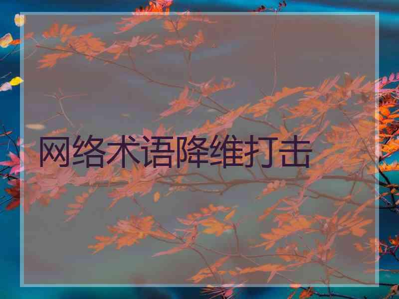 网络术语降维打击