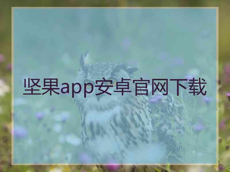 坚果app安卓官网下载