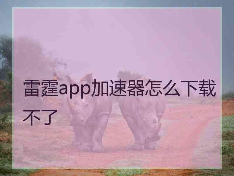 雷霆app加速器怎么下载不了