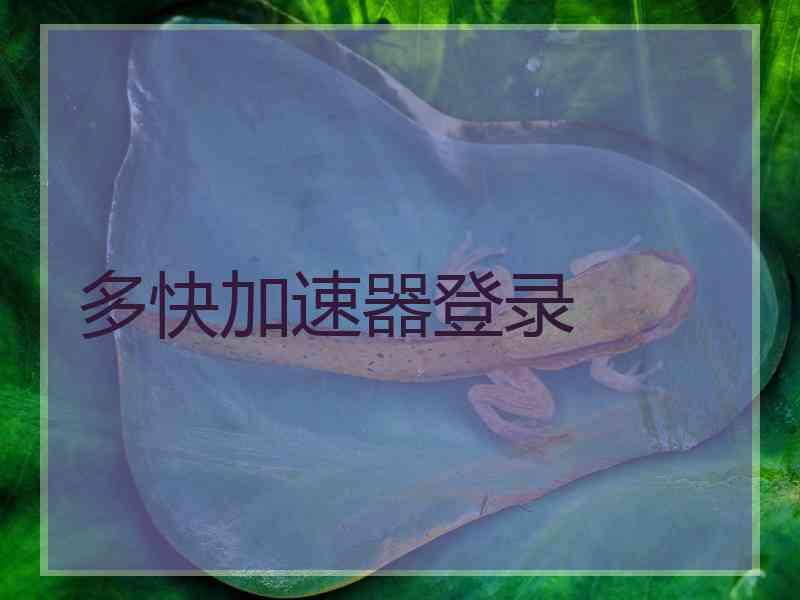 多快加速器登录