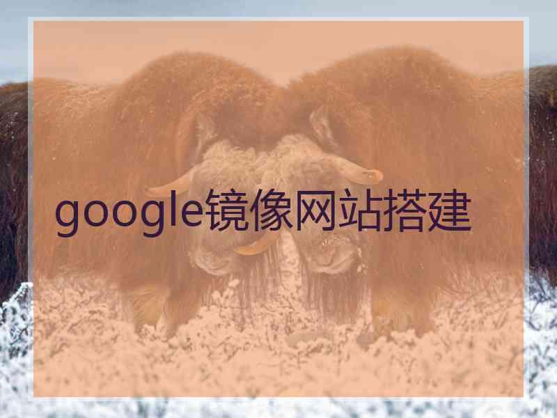 google镜像网站搭建