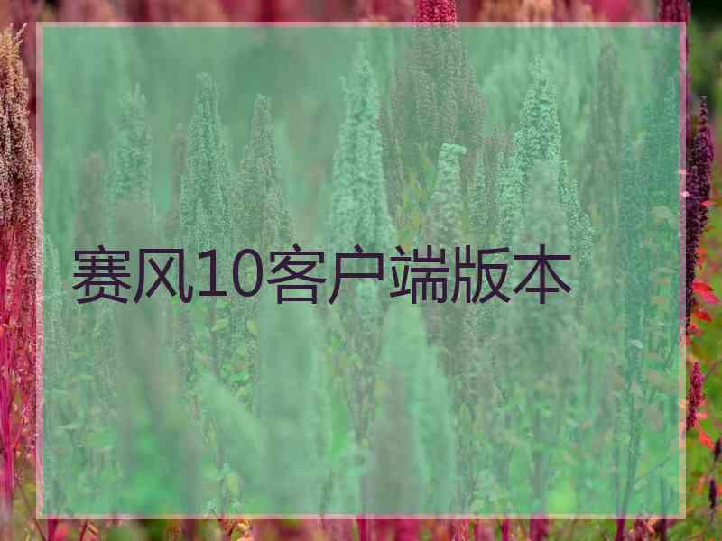 赛风10客户端版本