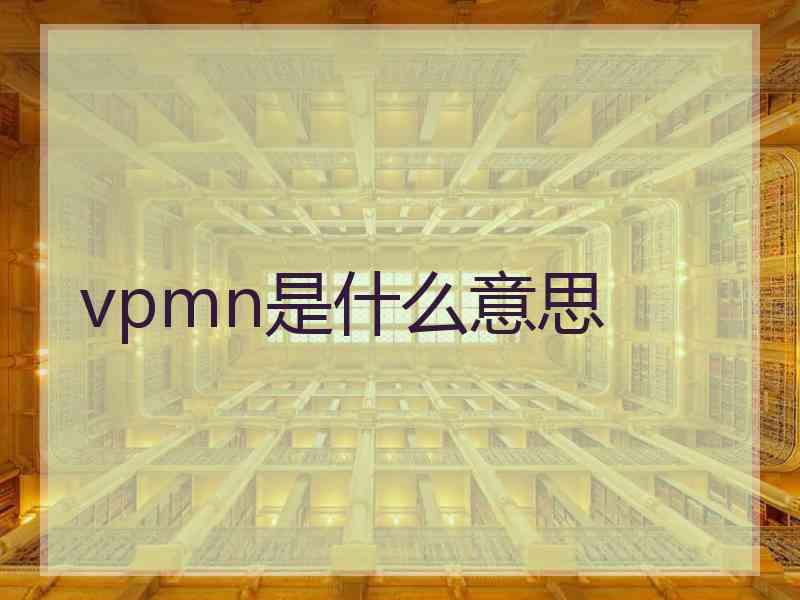 vpmn是什么意思