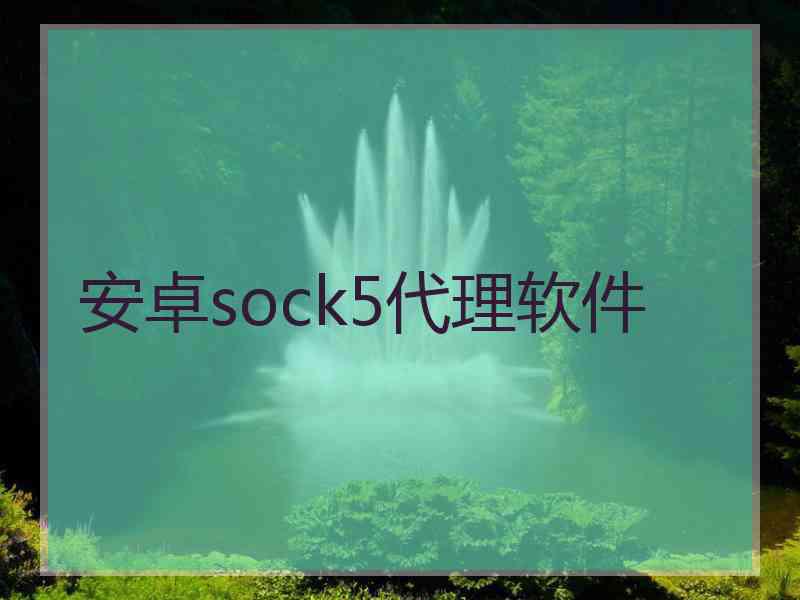 安卓sock5代理软件