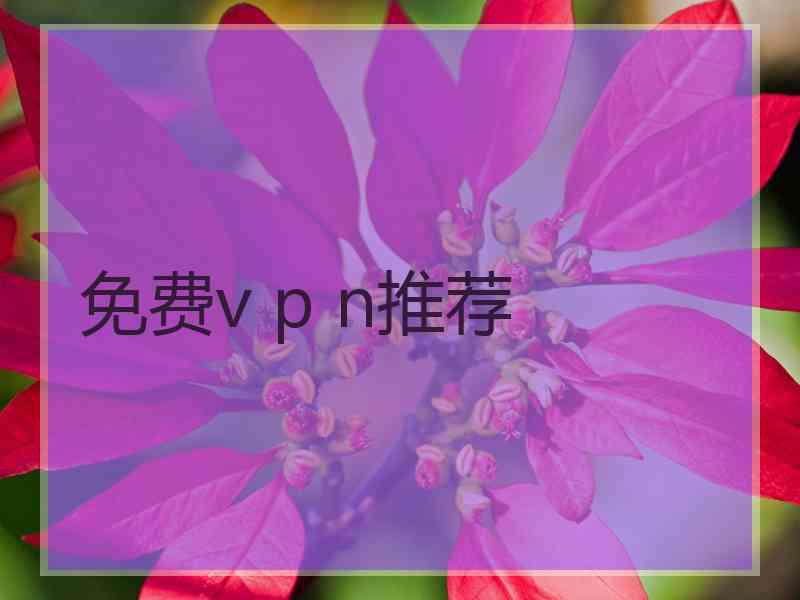 免费v p n推荐