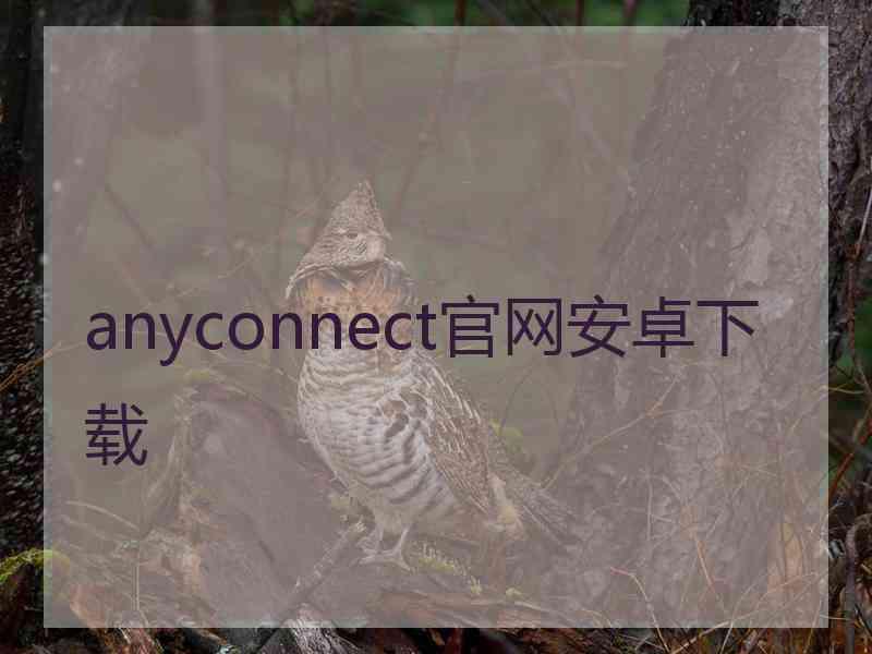 anyconnect官网安卓下载