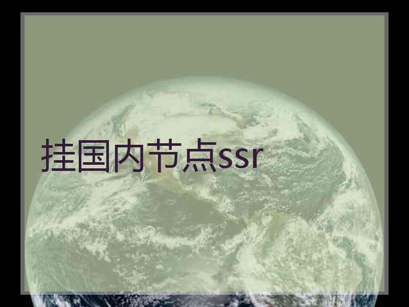 挂国内节点ssr