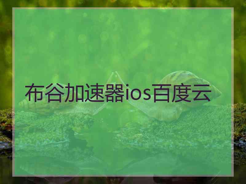 布谷加速器ios百度云