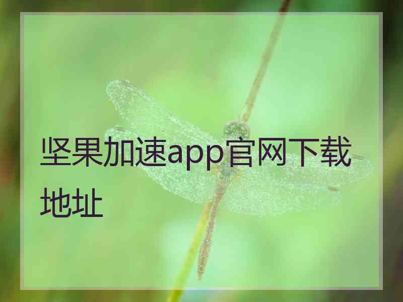 坚果加速app官网下载地址