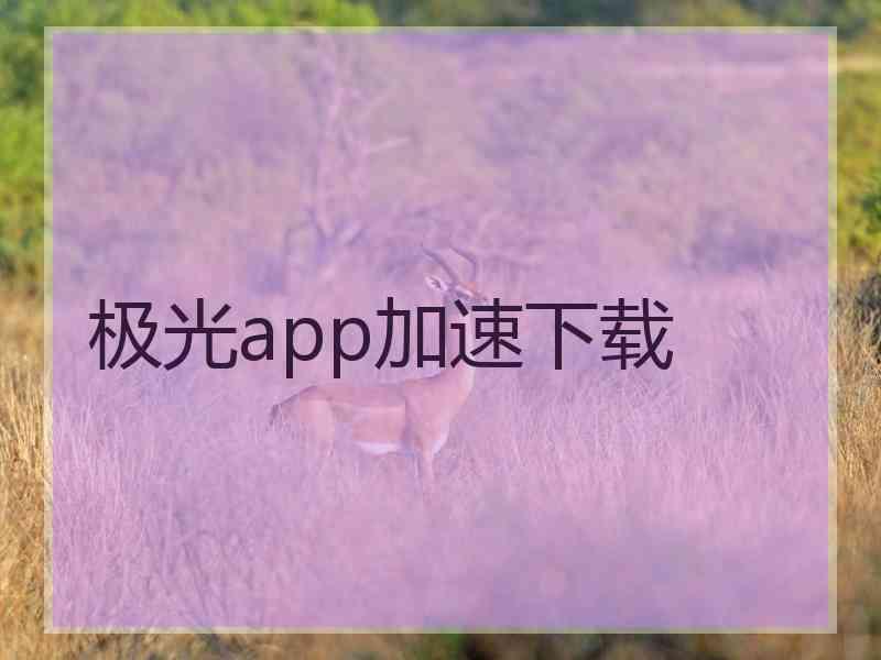 极光app加速下载