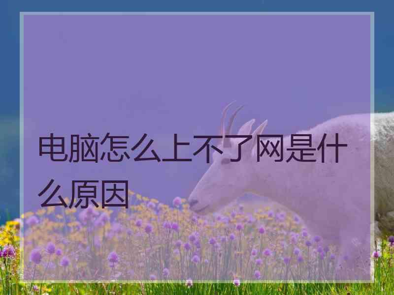 电脑怎么上不了网是什么原因