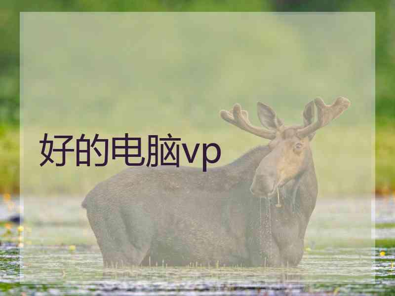 好的电脑vp