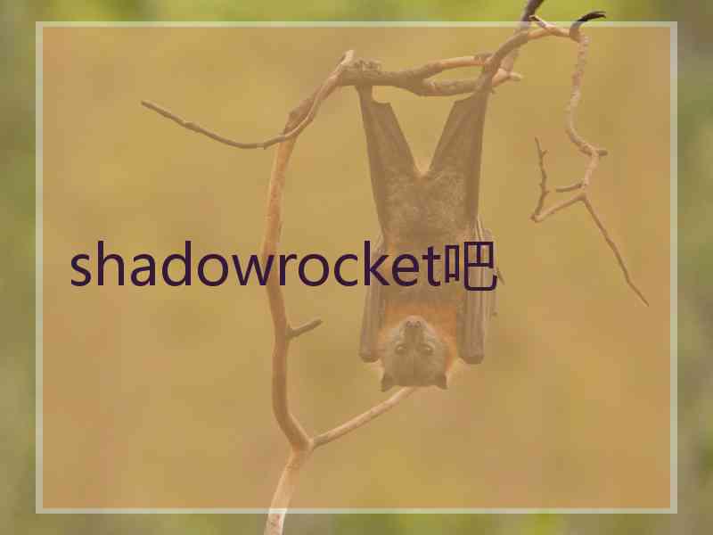 shadowrocket吧