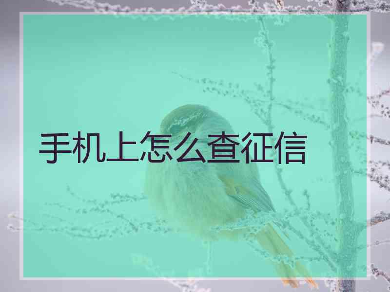 手机上怎么查征信