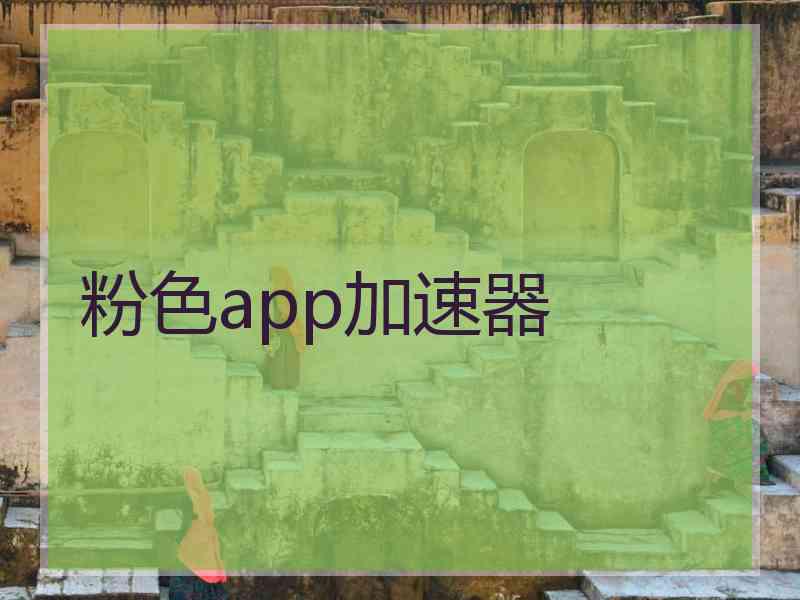 粉色app加速器