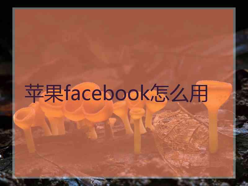 苹果facebook怎么用