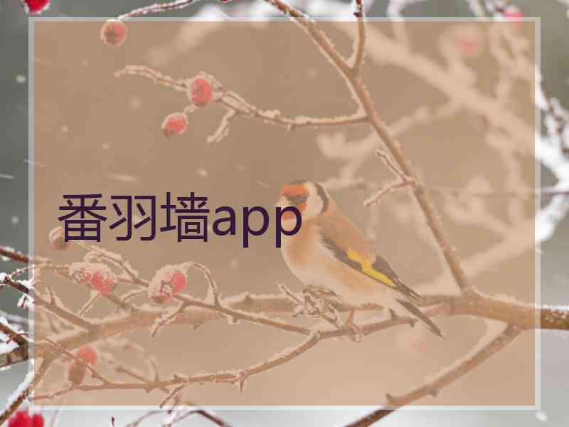 番羽墙app