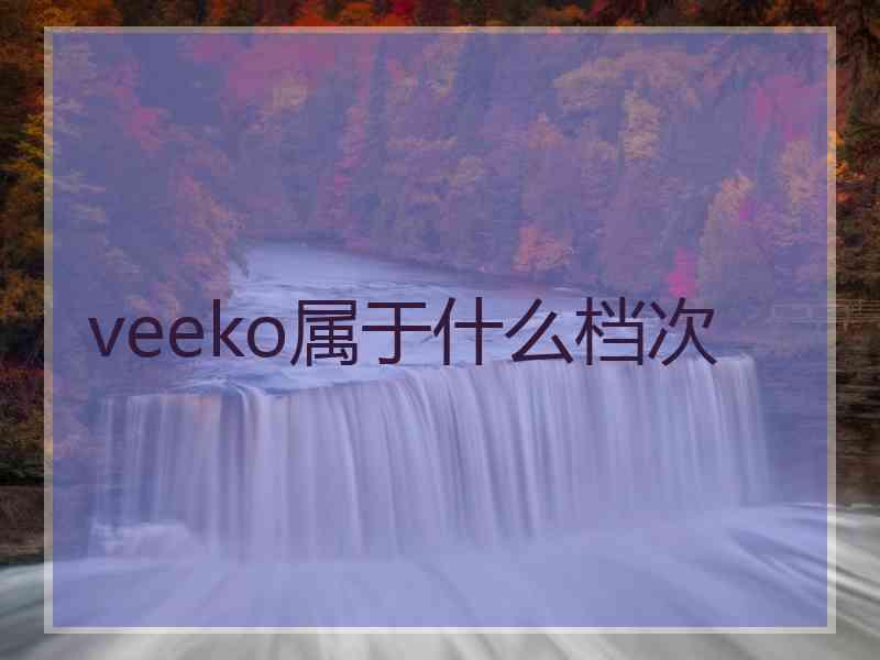 veeko属于什么档次