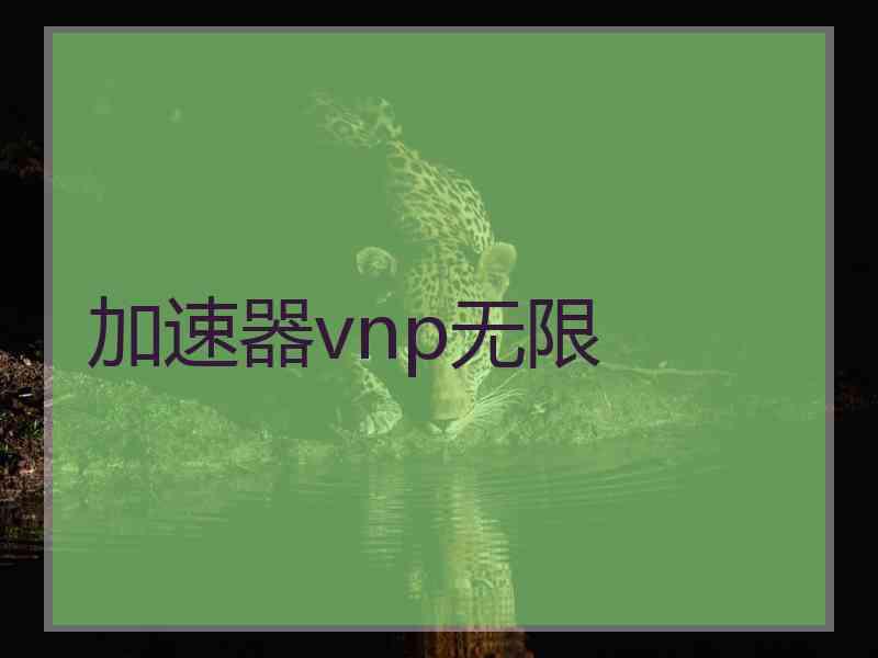 加速器vnp无限