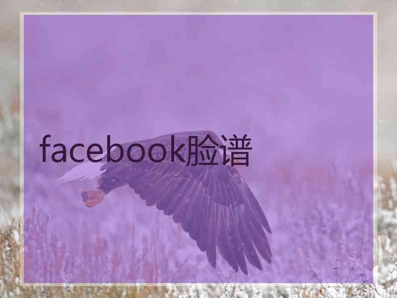 facebook脸谱