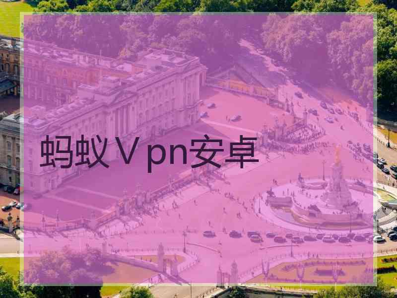 蚂蚁Ⅴpn安卓