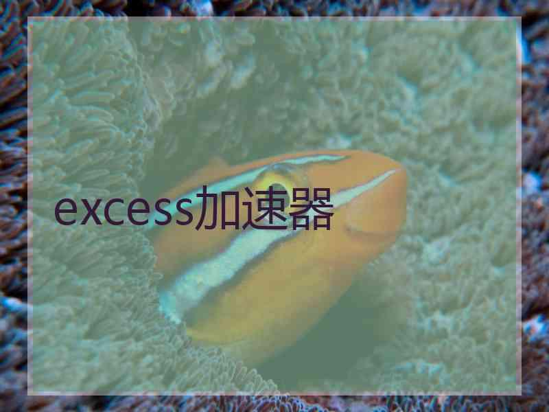 excess加速器