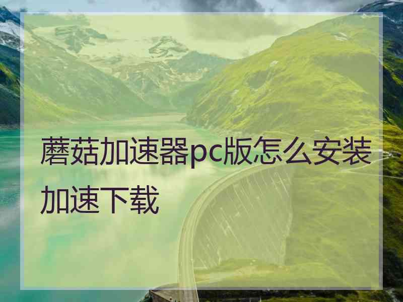 蘑菇加速器pc版怎么安装加速下载