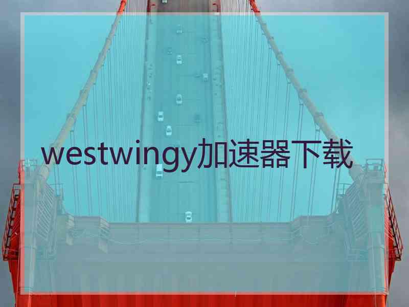 westwingy加速器下载