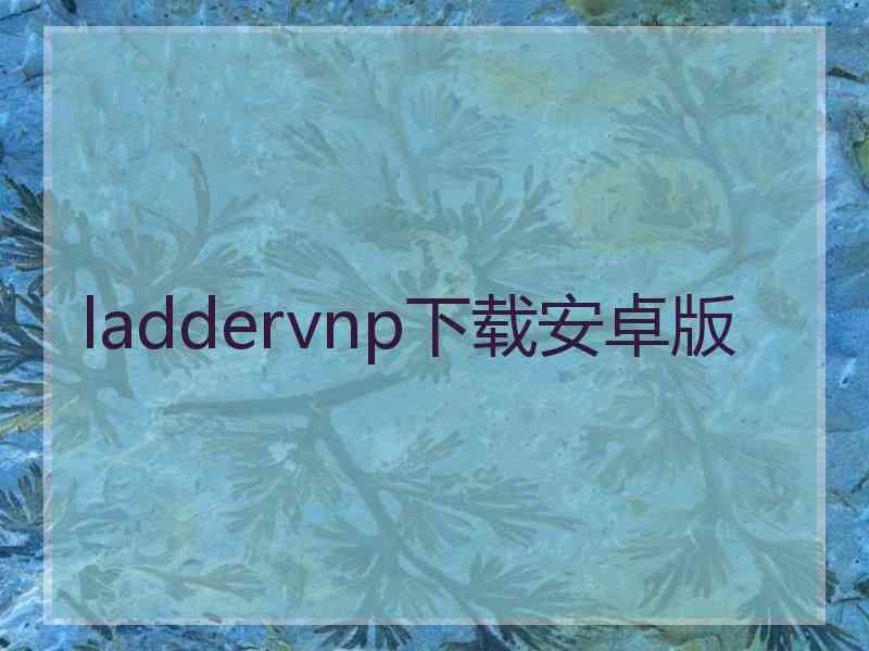 laddervnp下载安卓版