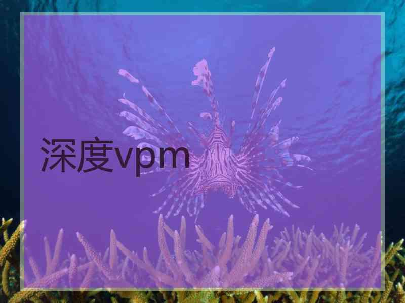 深度vpm