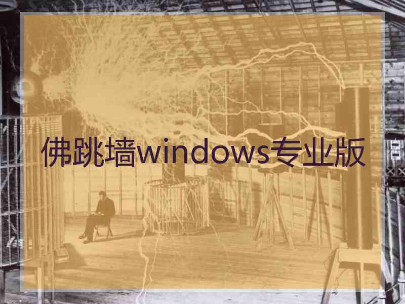 佛跳墙windows专业版