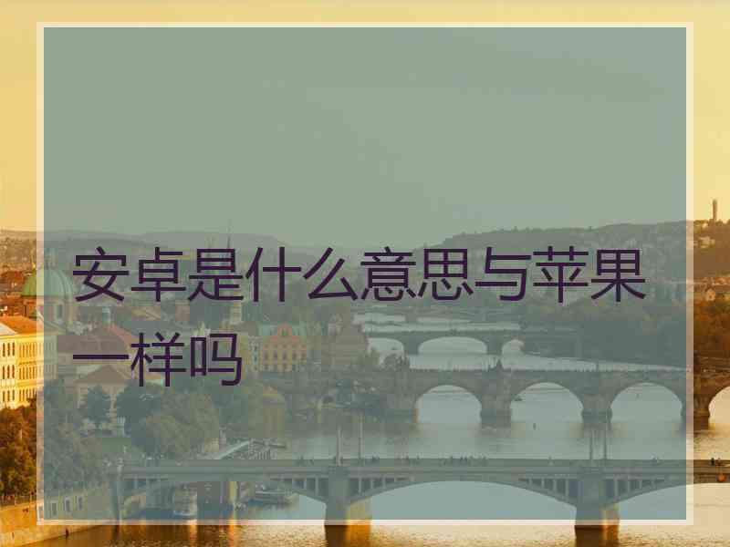 安卓是什么意思与苹果一样吗