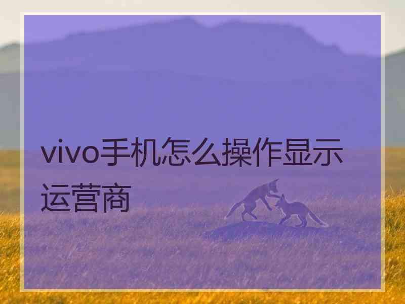 vivo手机怎么操作显示运营商