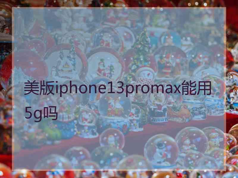 美版iphone13promax能用5g吗