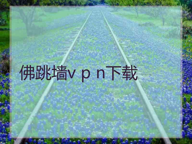 佛跳墙v p n下载