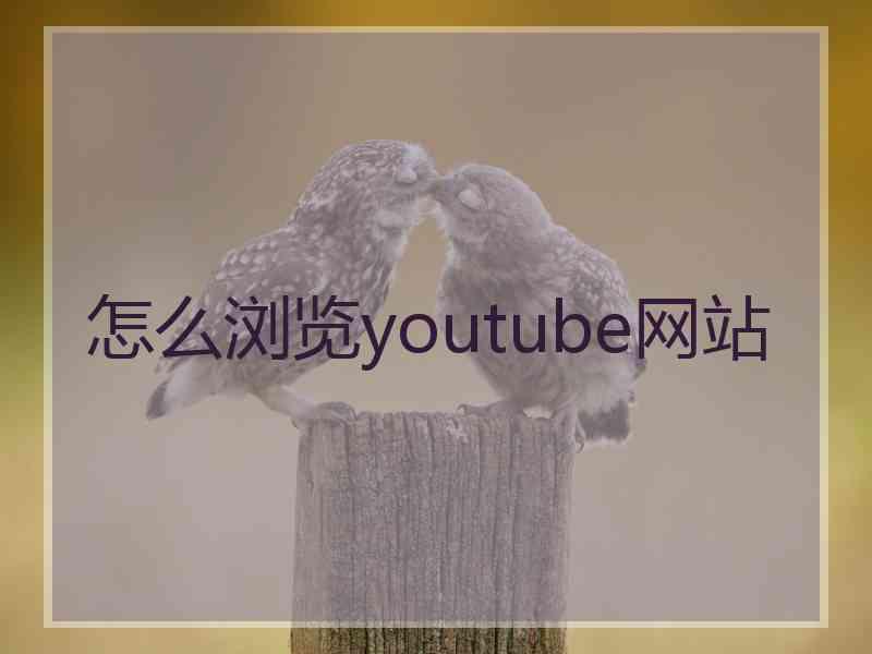 怎么浏览youtube网站