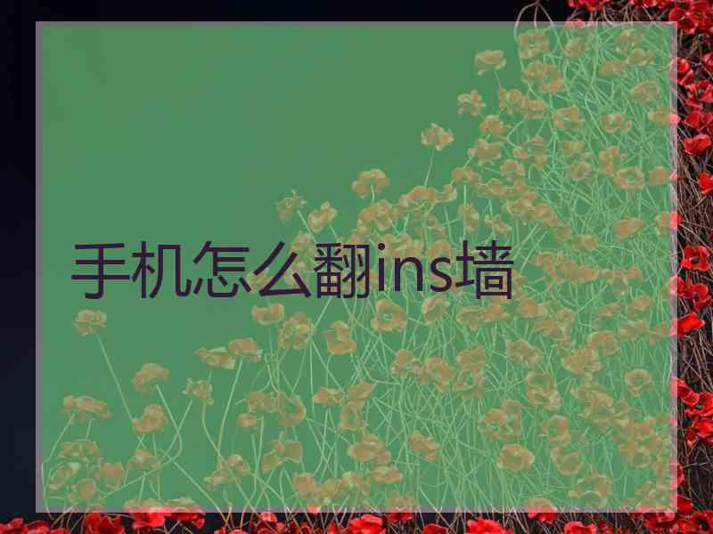 手机怎么翻ins墙