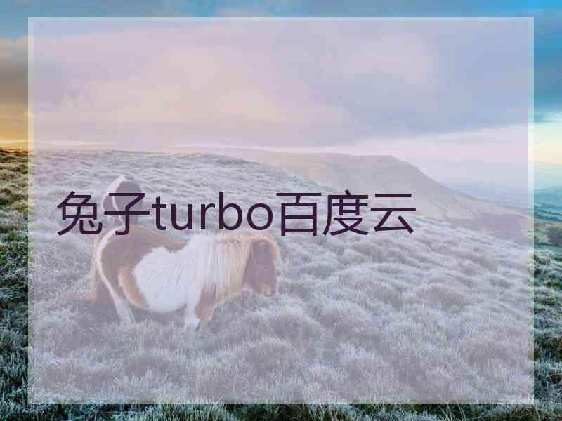 兔子turbo百度云