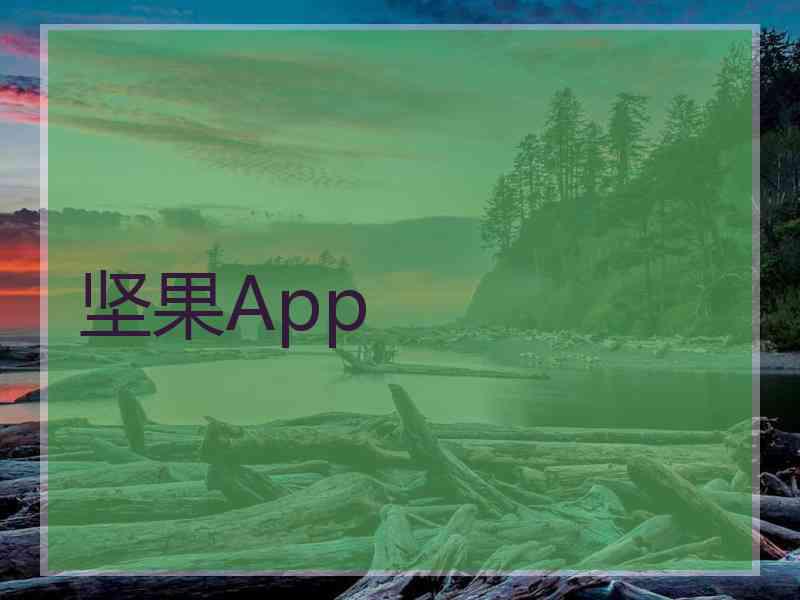 坚果App