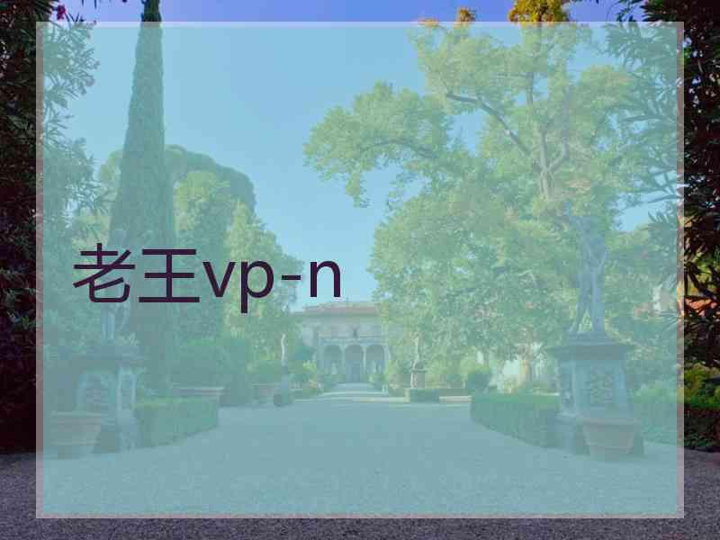 老王vp-n