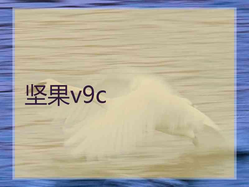 坚果v9c