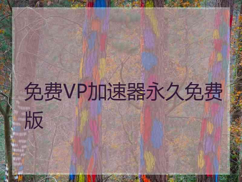 免费VP加速器永久免费版