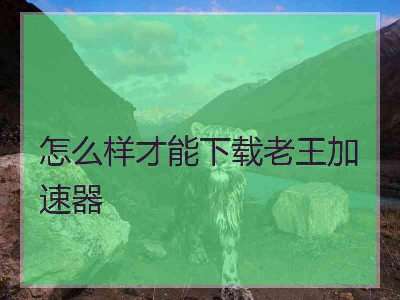 怎么样才能下载老王加速器