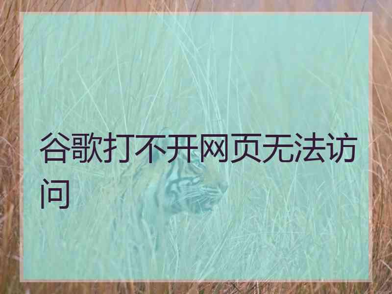 谷歌打不开网页无法访问