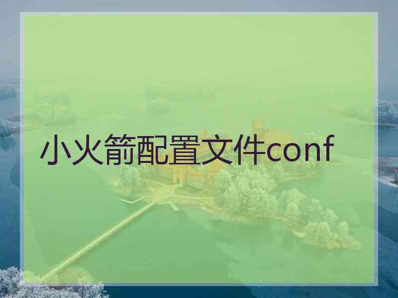 小火箭配置文件conf