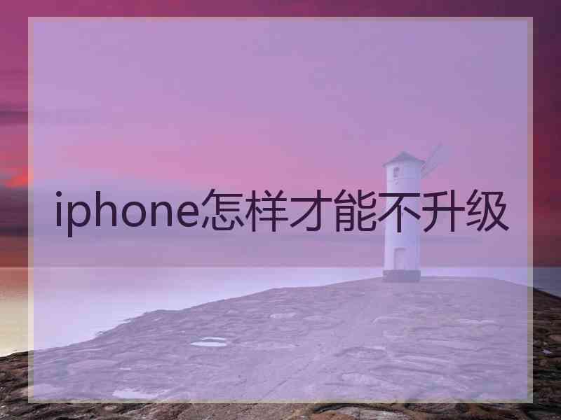 iphone怎样才能不升级