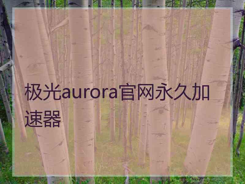 极光aurora官网永久加速器